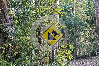 Downhill drive sign, Sign For Downhill, DownHill Warning Sign in forest, funny traffic signs in wild, Elephant symbol at Thung Ka Stock Photo