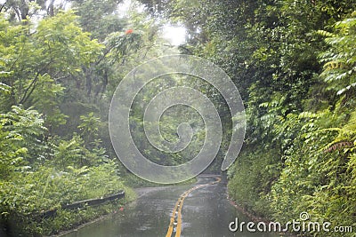 Downpour Rain on Road in Maui Hawaii Storm Stock Photo
