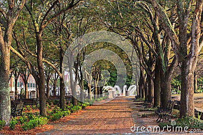 Downtown Charleston SC Waterfront Park Stock Photo