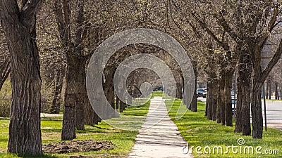 Downtown Regina Stock Photo