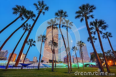 Downtown Tampa With Riverwalk At Night, From Tampa University Editorial Stock Photo