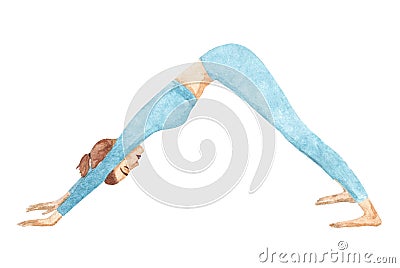 Downward facing dog yoga pose asana Adho mukha svanasana. Watercolor hand drawn illustration with woman doing yoga or pilates ex Cartoon Illustration