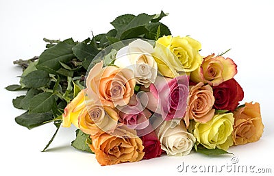 Dozen mixed long stemed roses Stock Photo