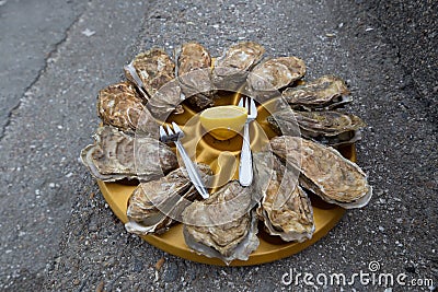 A dozen oysters with lemon Stock Photo