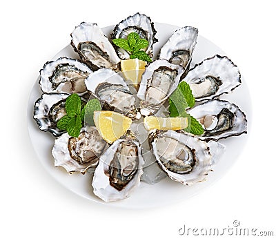 Dozen oysters on white plate Stock Photo