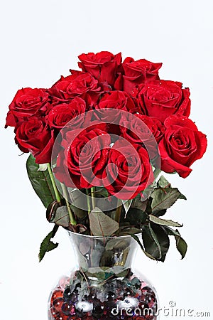 Dozen red roses Stock Photo