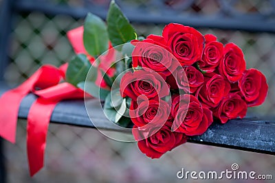 Dozen red roses on a bench Stock Photo