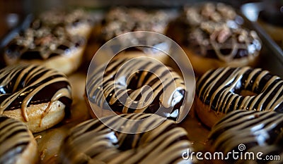 A Dozen Vegan Donuts on a Tray Stock Photo