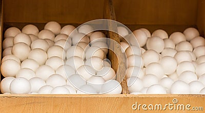 Dozens of styrofoam balls Stock Photo