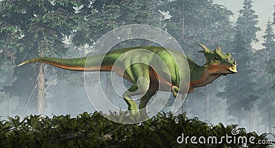 Dracorex Stock Photo