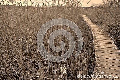 Dragomansko pond Stock Photo