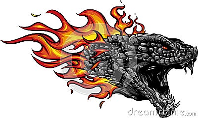 A head of the Dragon in fire with flames Vector Illustration