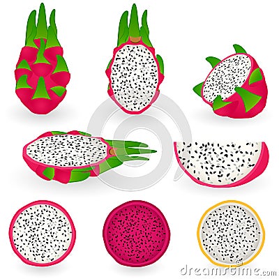 Dragon fruit Vector Illustration