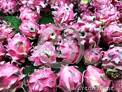 Dragon fruit is a fruit of the cactus species. Stock Photo