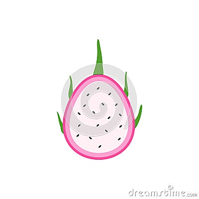dragon fruit flat design vector illustration. Vector ripe pitahaya, juicy tropical fruit, vegetarian food, grocery product. Vector Illustration