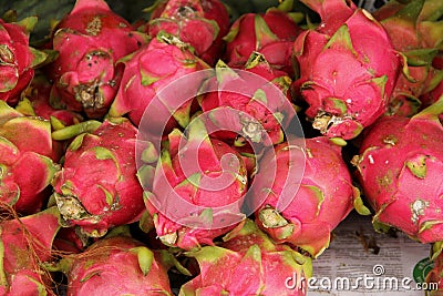 Dragon Fruit Stock Photo