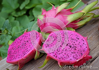 Dragon fruit, tropical fruits, Vietnam agriculture Stock Photo