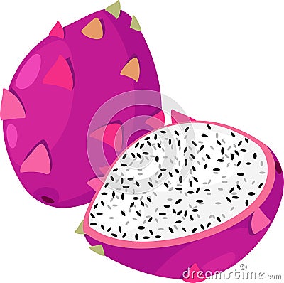 Dragon Fruit vector Vector Illustration