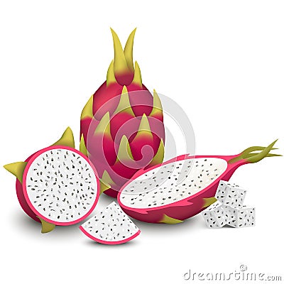 Dragon Fruit vector illustration Vector Illustration