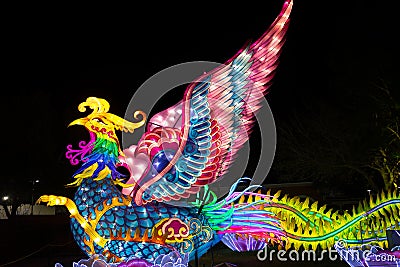 Dragon Lights Albuquerque, Silk Phoenix lantern. Chinese traditional art celebrates the Chinese New Year Editorial Stock Photo