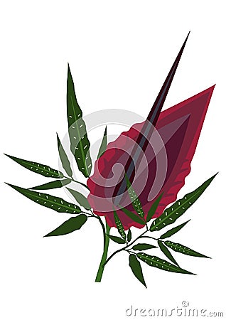 Dragon Lily Vector Illustration | CartoonDealer.com #43739310