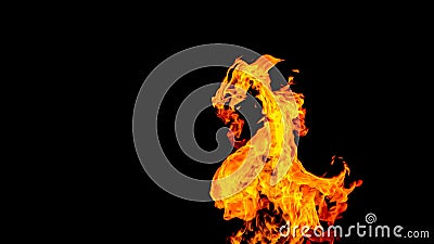 Dragon-shaped fire. Fire in the form of a dragon. Fire flames on black background. fire on black background isolated. fire pattern Stock Photo