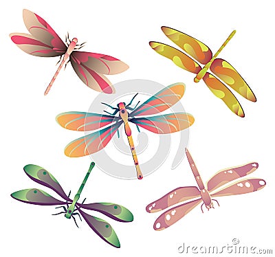 Dragonflies Vector Illustration