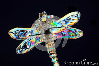 Dragonfly Stock Photo