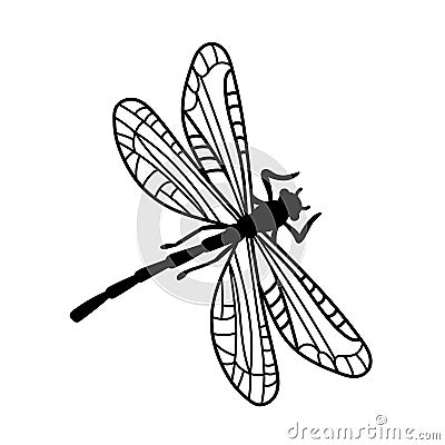 Dragonfly. Abstract black closeup Vector Illustration