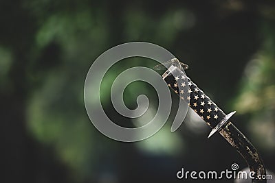 dragonfly alights on bicycle handle bar with white star pattern Stock Photo