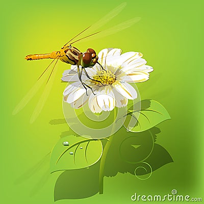 Dragonfly on flower Vector Illustration