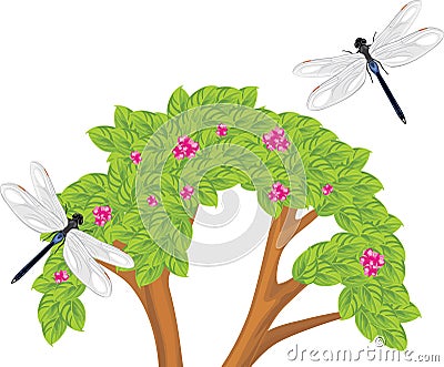 Dragonfly flying over the flowering bush Vector Illustration