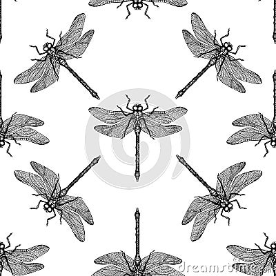 Seamless pattern with hand drawn dragonfly. Vector insects sketch collection. Vintage spring background. Stock Photo