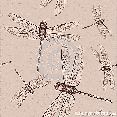 Dragonfly sketch Vector Illustration