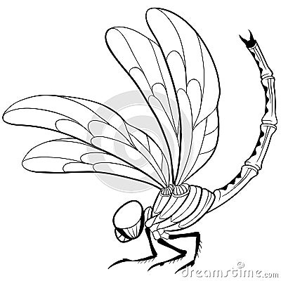 Dragonfly tattoo Vector Illustration