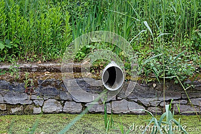 Drainpipe sewer reed bank pond Stock Photo