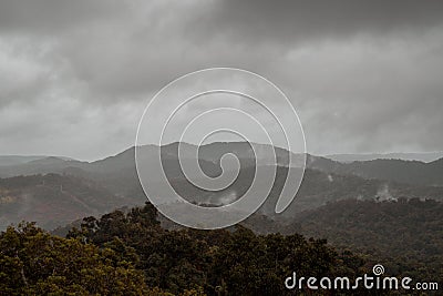 Cloudy day over Queensland rainforest Australia Stock Photo