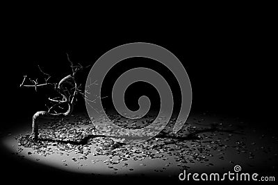 Dramatic artificial autumn in hard contrast black & white Stock Photo