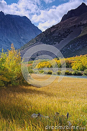 Dramatic fall color along the North Fork Bishop Creek, Sierra Nevada, California Stock Photo