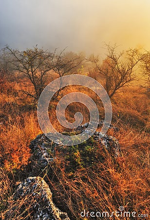 Dramatic autumn dawn. picturesque rocks Stock Photo