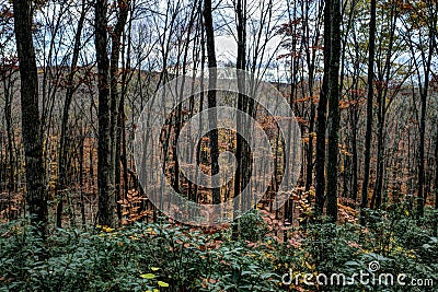 Dramatic Autumn Landscape in Pocono Mountains Stock Photo