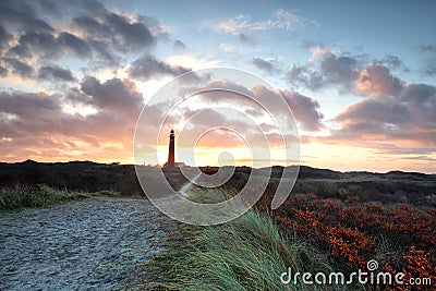 Dramatic beautiful sunrise over lighthouse and sea buckthorns Stock Photo