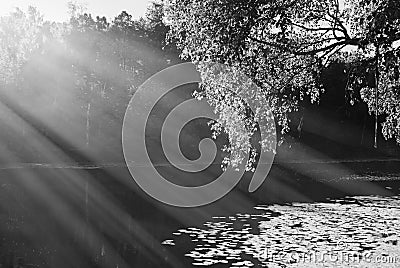 Dramatic black and white park lake landscape background Stock Photo