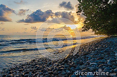 Dramatic coast with rocky volcanic beach, green tree, waves and amazing sunset, Limbe, Cameroon Stock Photo