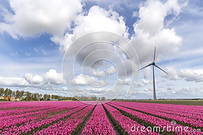Dramatic Dutch sky Stock Photo