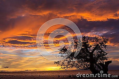 Dramatic fiery orange sunset Stock Photo