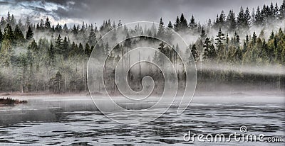 Dramatic Fog in Forest Along Lake Stock Photo