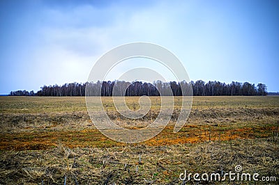 Dramatic forest island landscape background hd Stock Photo