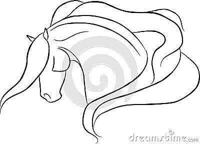 Dramatic Horse Head Vector Vector Illustration