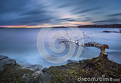 Dramatic landscape with a broken birch Stock Photo